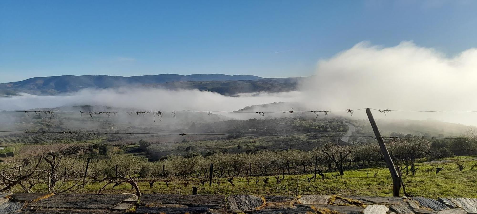 Villa Quinta Alto Da Fraga Vila Nova de Foz Coa Esterno foto